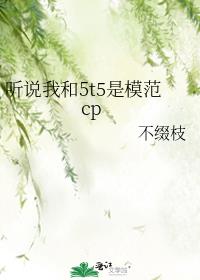 聽說我和5t5是模範cp晉江文學城 小說