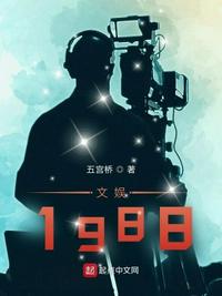 文娛1988無廣告小說