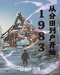 1983:從分田到戶開始 小說