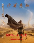 沙漠聖賢 小說