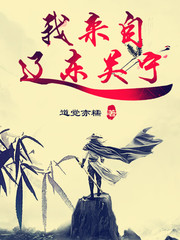 我來自遼東關寧小說