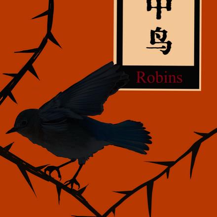 林中鳥：Robins