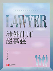 涉外律師趙慕慈第322章 用律師評價律師