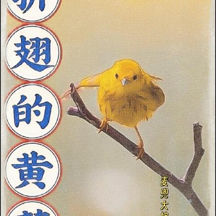 折翅的黃鶯